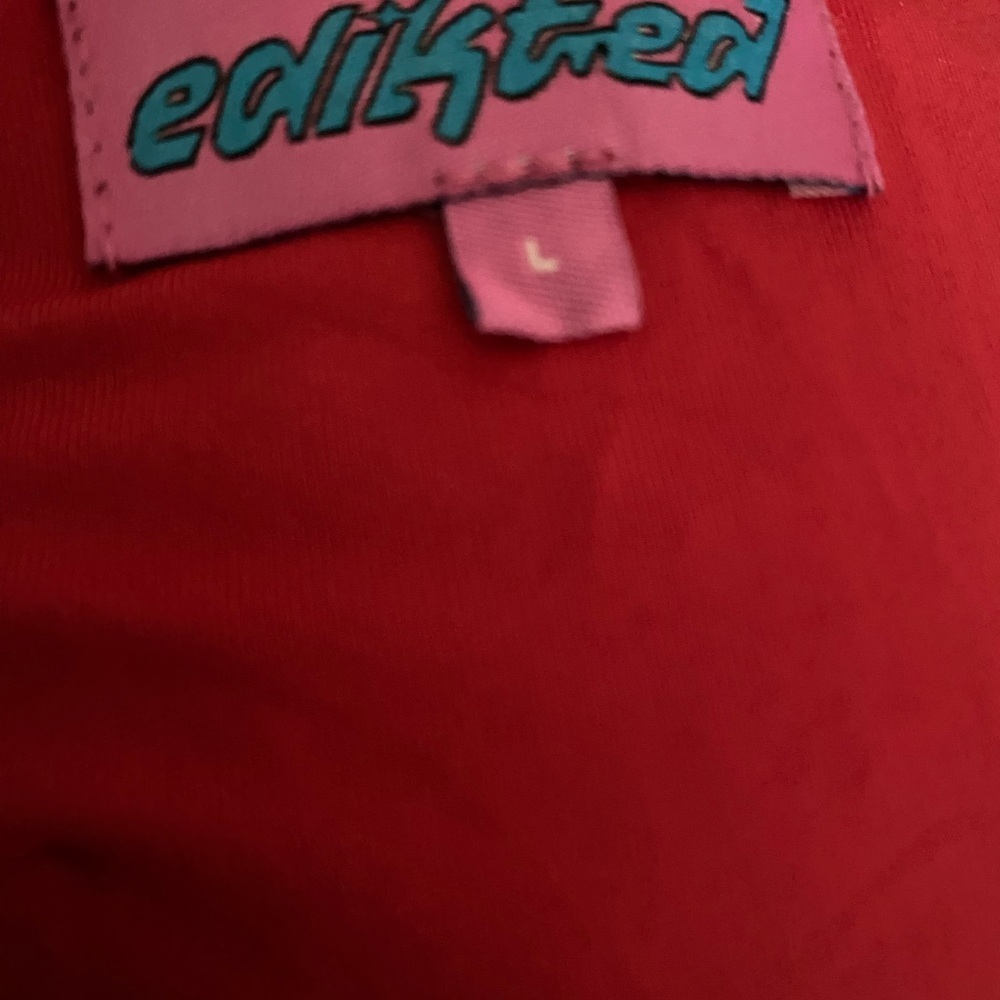 Editkted Sabina Low-Rise Sequin Red Coquette Sexy Mini Whimsical Skirt  Size L - Picture 2 of 11